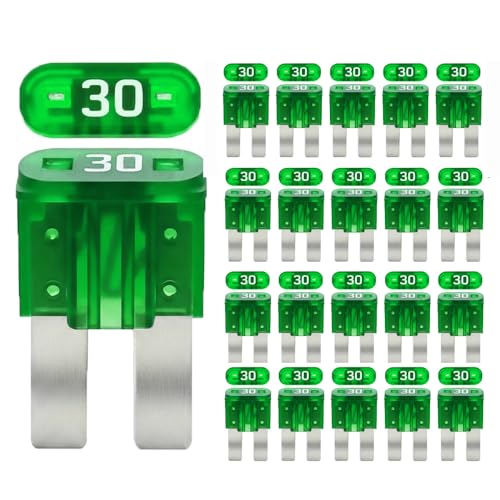 20Psc 30A Micro2 Car Fuses, 30amp Micro2 Automotive Fuse for Car/RV/Truck/SUV/Motorcycle/Boat (30A)