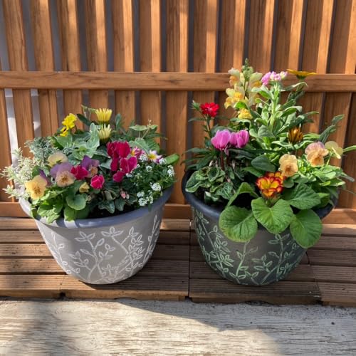 ԁGluck͂Ȃ͂Ȃ G߂̊񂹐A [t 2Zbg yʃvX`bN a24cm ̐FIs ԃMtg ̓ a Vzj