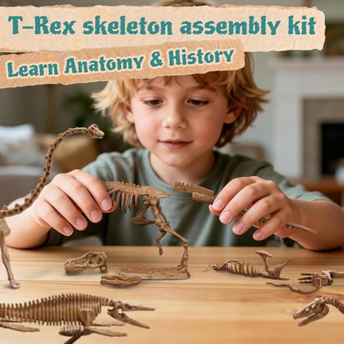 Beetots 7-Pack Big Dinosaur Fossil Skeleton Building Kit | Take Apart & Rebuild Dinosaur Bones Models | STEM Science Archaeology Toy Gift for Kids 6+ | T-Rex, Triceratops, Velociraptor