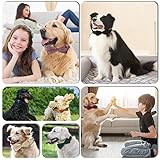 KTWSUEF Hundehalsband Samtiges, mit Abnehmbarer Hunde Fliege, Komfortable Verstellbares Samtige Halsband Hund, Geeignet für Hunde Kleine Mittel große Hunde, Für Hochzeiten, Geburtstage, Partys usw