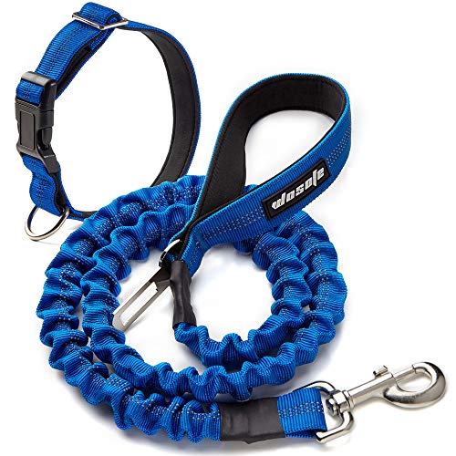 Pet Leash Dog Rope Telescopic Type Wear-Resistant and Firm Outdoor Strong Safety Easy