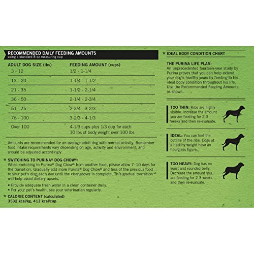 purina dog chow green bag