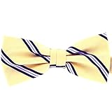 Tok Tok Designs Premium Mens Pre-Tied Bow Ties Collection