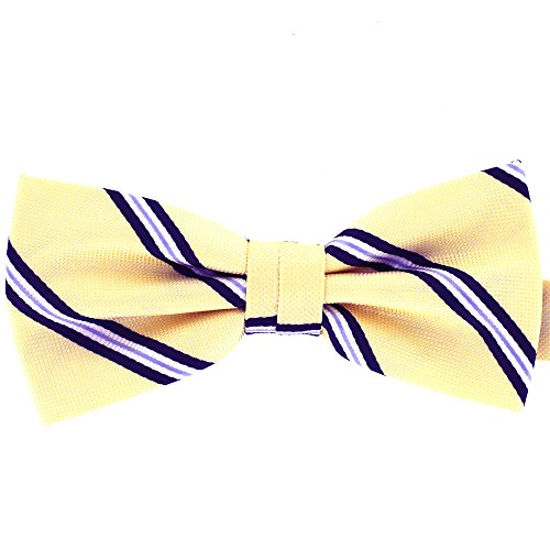 Tok Tok Designs® Premium Mens Pre-Tied Bow Ties Collection