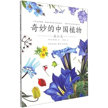 Paperback ???????(???) [Chinese] Book