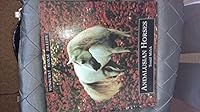 Andalusian Horses 1857780779 Book Cover