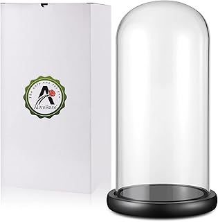 AliveRose Glass Display Dome,13