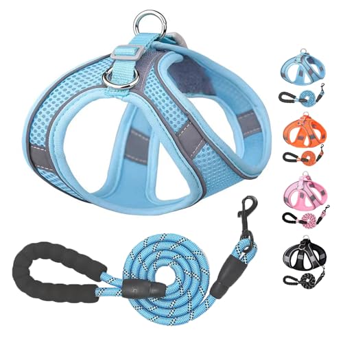 ybgpn[lX^ ^ n[lX [hZbg [v [hZbg^̃n[lXLp ˌXgbvt bV  ߉\ U EȒP ̃n[lX (u[, M)