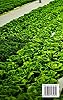 Aquaponics for Beginners: The Ultimate Step-By-Step Guide to Building Your Own Aquaponics Garden System That Will Grow Organic Vegetables, Fruits, Herbs, Fungus, and Raise Fish #1