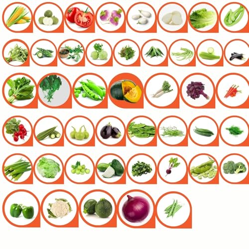 Image of All Season Veg Seeds Combo - 45 Variety Pack | 2700+ Seeds | High Germination | Kitchen Garden Kit | Balcony, Terrace & Home Gardening