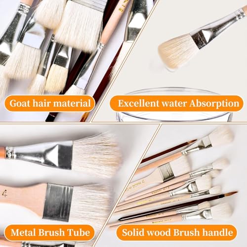 10 Pcs Pottery Glazing Brushes, Goat Hair Mop & Blending Brush Set for Ceramics, Acrylic Painting, Clay - Soft Bristle Artist Tools for Pottery Wheel, Canvas, Kiln Firing by Arucxlzq - Used condition - Image 3