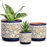 3 Piece Ceramic Plant Pots, 5.7/4.7/3.5/inch Planters with Drainage Hole, Outdoor Indoor Flower Pots Set, Modern Decorative Plant Pots for Lilies, Cacti, Succulents, Snakes, Bamboo(Blue)