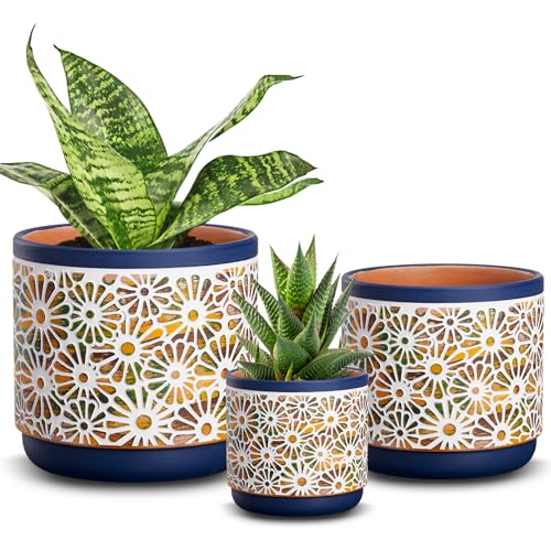 3 Piece Ceramic Plant Pots, 5.7/4.7/3.5/inch Planters with Drainage Hole, Outdoor Indoor Flower Pots Set, Modern Decorative Plant Pots for Lilies, Cacti, Succulents, Snakes, Bamboo(Blue)