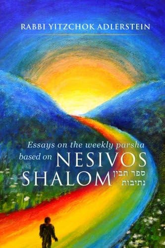 Nesivos Shalom: Thoughts on the weekly parshah taken from the Nesivos Shalom of the Slonimer Rebbe zt"l Paperback – January 18, 2013