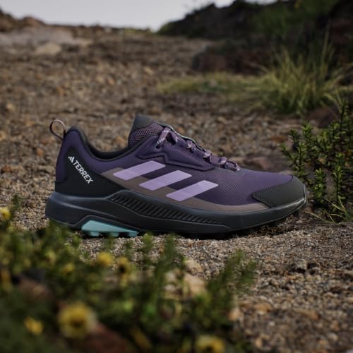 adidas Adidas Women's Terrex Anylander Hiking, Aurora Plum/Powder Plum/Trace Brown, 11
