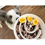 Slow Feeder Dog Bowl - 1.5 Cups Ceramic Puzzle Feeder for Small & Medium Breeds, Maze Design Bowl for Puppy & Fast Eaters, White Pet Dish to Control Eating Speed - Image 2