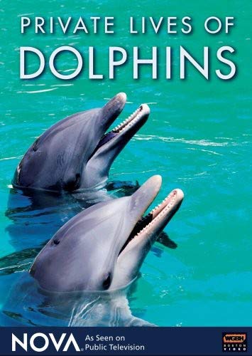Cover of NOVA: Private Lives of Dolphins