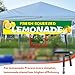 Saillong Beverage Gun Lemonade Dispenser Trigger Pump System Beer Bottle Filler Accessory Kit, Freshly Squeezed Lemonade Stand Supplies, Beverage Gun, 6.6ft Tube and Adapter, Oktoberfest Supplies