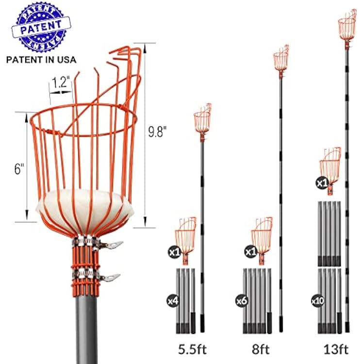 Walensee 5.5FT Fruit Picker, Adjustable Fruits Picker Tool with Lightweight Stainless Steel Pole and Big Basket, Fruit Catcher Equipment Tree Picker for Apples Mango Pear Orange Avocados Fruit Picking