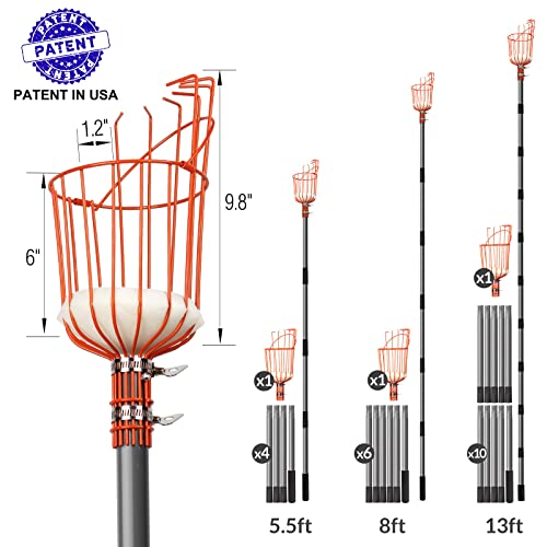 Walensee 5.5FT Fruit Picker, Adjustable Fruits Picker Tool with Lightweight Stainless Steel Pole and Big Basket, Fruit Catcher Equipment Tree Picker for Apples Mango Pear Orange Avocados Fruit Picking by Walensee - Image 2