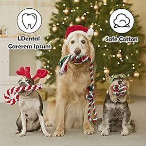 Christmas-Dog-Rope-Toys-and-Bandana-9-Packs-Christmas-Dog-Toys-Interactive-Dog-Stocking-Stuffers-Rope-Chewing-Toys-for-Small-Medium-Dogs - Cucciolini Doodles   Christmas-Dog-Rope-Toys-and-Bandana-9-Packs-Christmas-Dog-Toys-Interactive-Dog-Stocking-Stuffers-Rope-Chewing-Toys-for-Small-Medium-Dogs