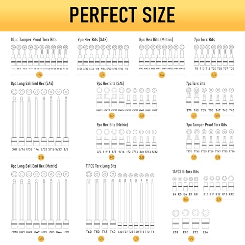 Image of 107-Piece Master Torx & Allen Bit Socket Set, S2 Steel, 1 /4 inch 3 /8 inch 1 /2 inch Drive, Long Torx, Ball End Hex, Tamper-Resistant Star, E-Star Sockets, SAE & Metric (Chrome-Polished Set)