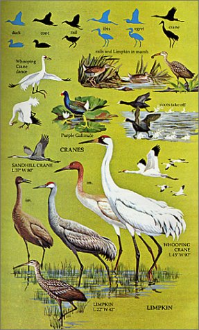 Birds Of North America: A Guide To Field Identification (Golden Field Guide From St. Martin's Press) #TOP2
