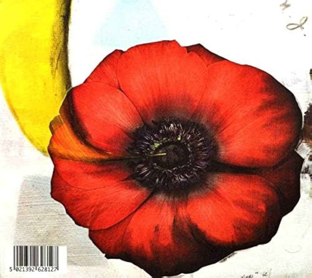 未開封 Teebs / Ardour 2LP レコード 名盤 Amazon.co.jp: Ardour (BFCD010): ミュージック