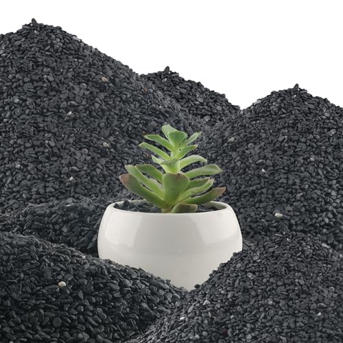 Image of 45lb Black Cactus Pea Gravel Rocks,1 /4 Inch Pebbles for Indoor Plants, Natural Succulent Rock and River Rocks Decorative for Aquariums, Vases, Outdoor Gardening, Top Dressing for Potted Plants