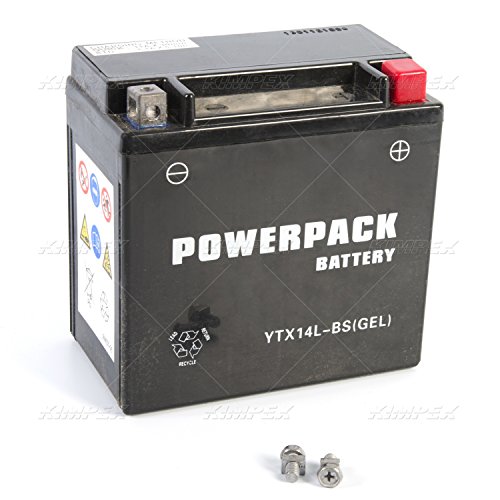 Moeller Clear Coat Lacquer Clear 025519-C