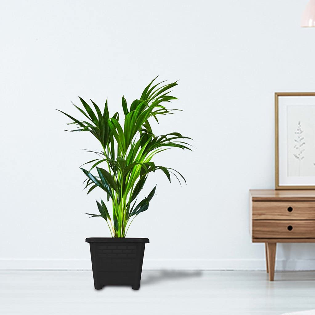 TrustBasket EarthBox-6 Square Plastic Planter Black (Set of 6) Heavy Duty Highly Durable Plant containerGamla for Indoor Home Decor & Outdoor Balcony Garden