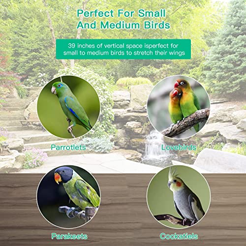 image for BestPet 39 inch Roof Top Large Flight Parrot Bird Cage Accessories Med