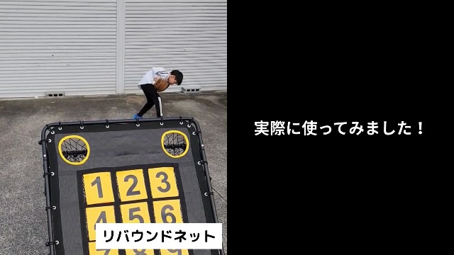 Amazon | [リーディングエッジ] ターゲットネット リバウンダー