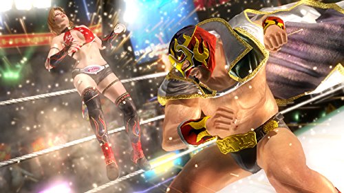 Amazon.com: DEAD OR ALIVE 5 Last Round : Video Games