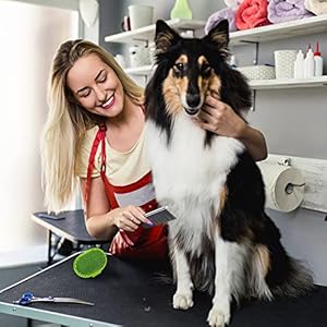 2pcsstainlesssteelmetaldogcombforremovingtangledmatsandmassagingpetcombsprofessionalpetgroomingtools Urban Country Home Decor 2pcs stainless steel metal dog comb for removing tangled mats and massaging pet combs professional pet grooming tools urban country home decor