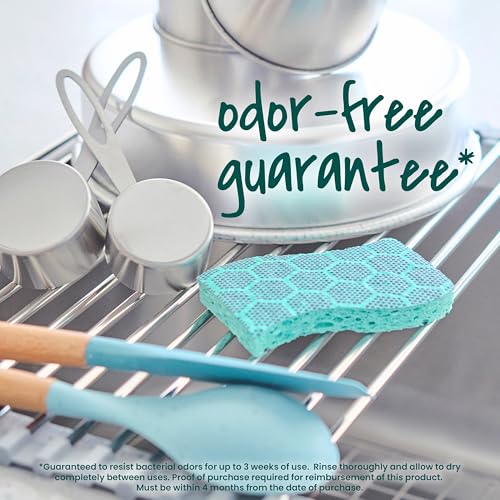 Scotch-Brite Odor Resist Heavy Duty Scrub Sponge, Dishwasher-Safe Kitchen sponges for Serious Scrubbing, Multipurpose Dish Sponge for Stuck-On Messes, 6 Scrubbing Sponges - Image 6
