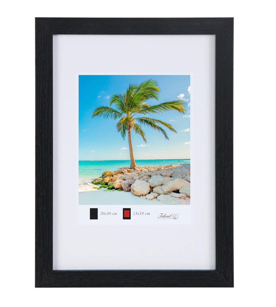 Holz Bilderrahmen Plexi Lifestyle Foto Rahmen Collage Wanddeko Poster HR25: Farbe: Schwarz | Format: 30x45