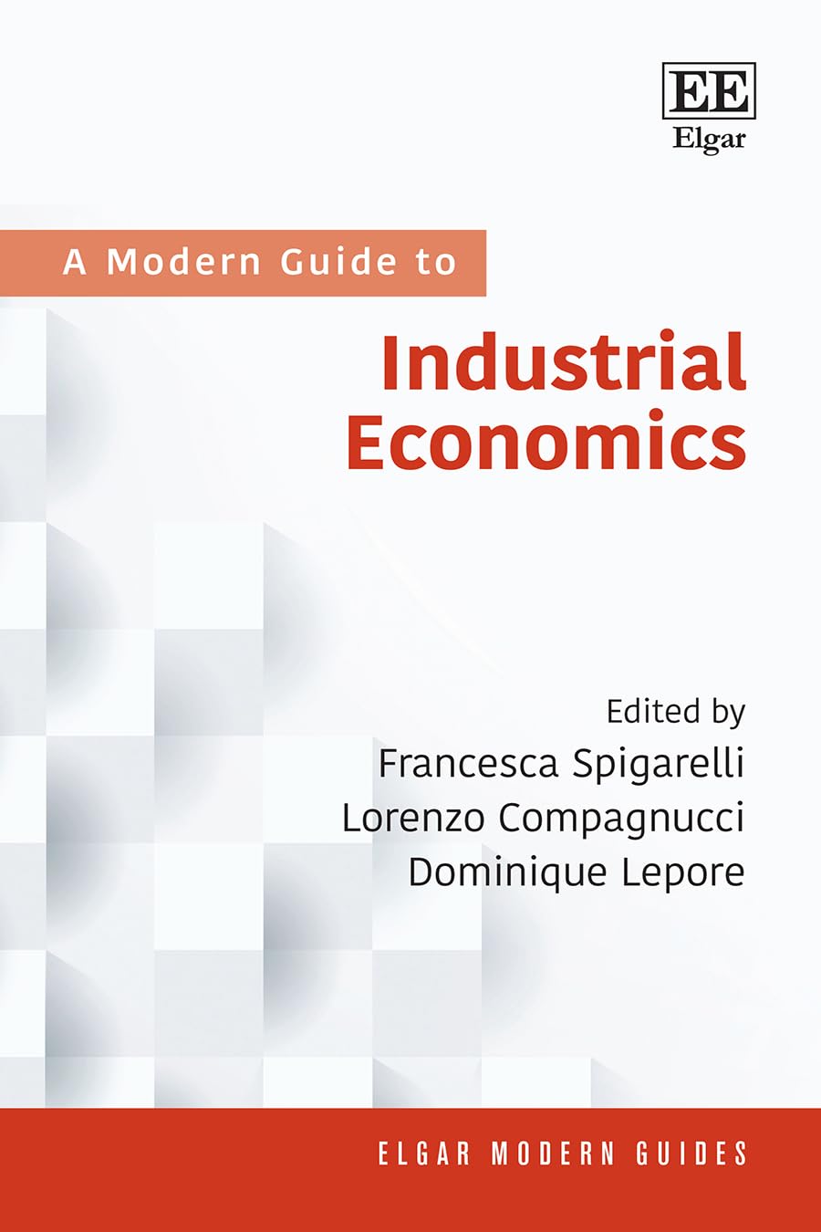 A Modern Guide to Industrial Economics (Elgar Modern Guides)
