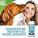 Bodhi Dog Peppermint Dental Dog Water Additive - Dental Water Additive for Dogs & Pets - Teeth, Breath & Healthy Gums - Freshens Breath & Reduces Tartar Build Up - Oral Care Cleaner- Made in USA, 17oz