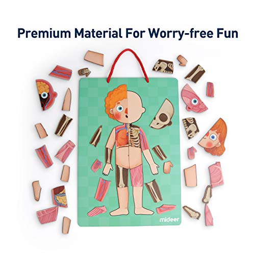 Mideer Human Body Model Puzzle For Kids, 90 Magnetic Puzzles Human Anatomy Play Set To Learn Body Parts, Organs, Muscles And Bones, Funny Gifts For Ages 6+ #TOP5