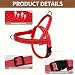 Wuhnesd No Pull Dog Harness and Leash Set-Reflective Vest with Handle&5FT Dog Leash with Car Seatbelt Clip,Breathable Mesh&Quick Fit Dog Harness Easy for Medium Large Dogs Training Walking (Red,L)