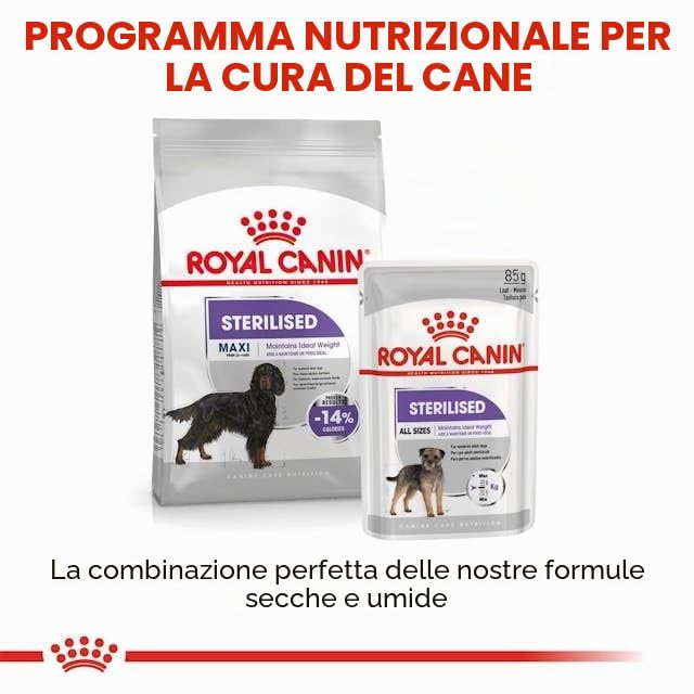 ROYAL CANIN CANE MAXI STERILISED ADULT 12 KG