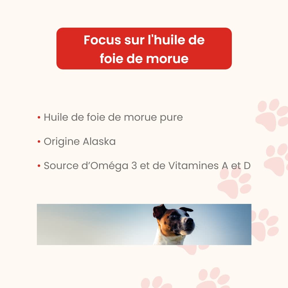 Huile de Foie de Morue 5 L - pour Chiens et Chats - Source de Vitamines A et D et d'Oméga 3 - Confort osseux et articulaire - Défenses immunitaires - Croissance - Développé en France