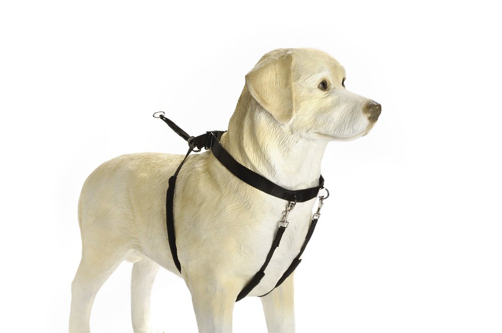 Beeztees Köpek Yürüyüş Eğitim ve Düzeltme Tasması, XL