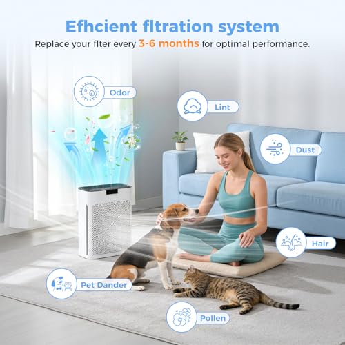 Image of 3 PACK KJ190L Filter Replacement for MOOKA KJ190 KJ190L KJ190H Air Purifier