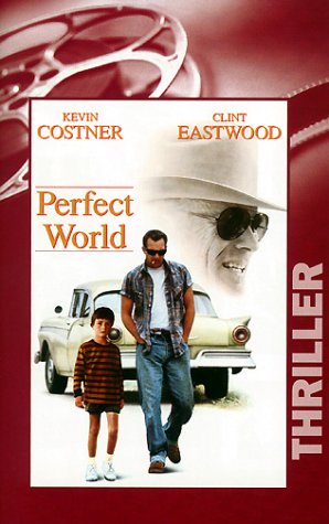Preisvergleich Produktbild Perfect World [VHS]