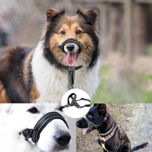 HhBdy Halti für Große Hunde, Hundehalfter Verstellbar Maulschlaufe Hund mit Gepolstertem Stoff, Anti Zieh Geschirr für Hunde Schwarz für Tägliche Spaziergänge Fellpflege und Krallenschneiden (L)