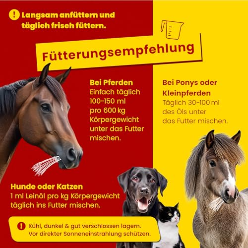 Scheidler horse-direkt Leinöl für Pferde, Hunde & Katzen 5 Liter – Mühlenfrisch kaltgepresstes Leinsamenöl ohne Zusätze – Reich an Omega 3 & 6 für Fellwechsel/Barf Öl – Aus Deutschland