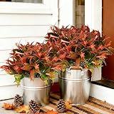 Photo Gallery uieke 6 piante artificiali da esterno, resistenti ai raggi uv, fiori tropicali finti, piante in plastica, arbusti di gloria mattutina, foglie autunnali, fogliame, per fioriere da appendere, giardino, Photo Gallery uieke 6 piante artificiali da esterno, resistenti ai raggi uv, fiori tropicali finti, piante in plastica, arbusti di gloria mattutina, foglie autunnali, fogliame, per fioriere da appendere, giardino,