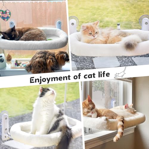 Image of Zoratoo 2PC Cat Window Perch with Bolster Cordless Cat Hammock Cushion Bed for Window with Metal Frame, Large Suction Cups Window Resting Seat for Indoor Cats (Cushion Bed White, 2PC)